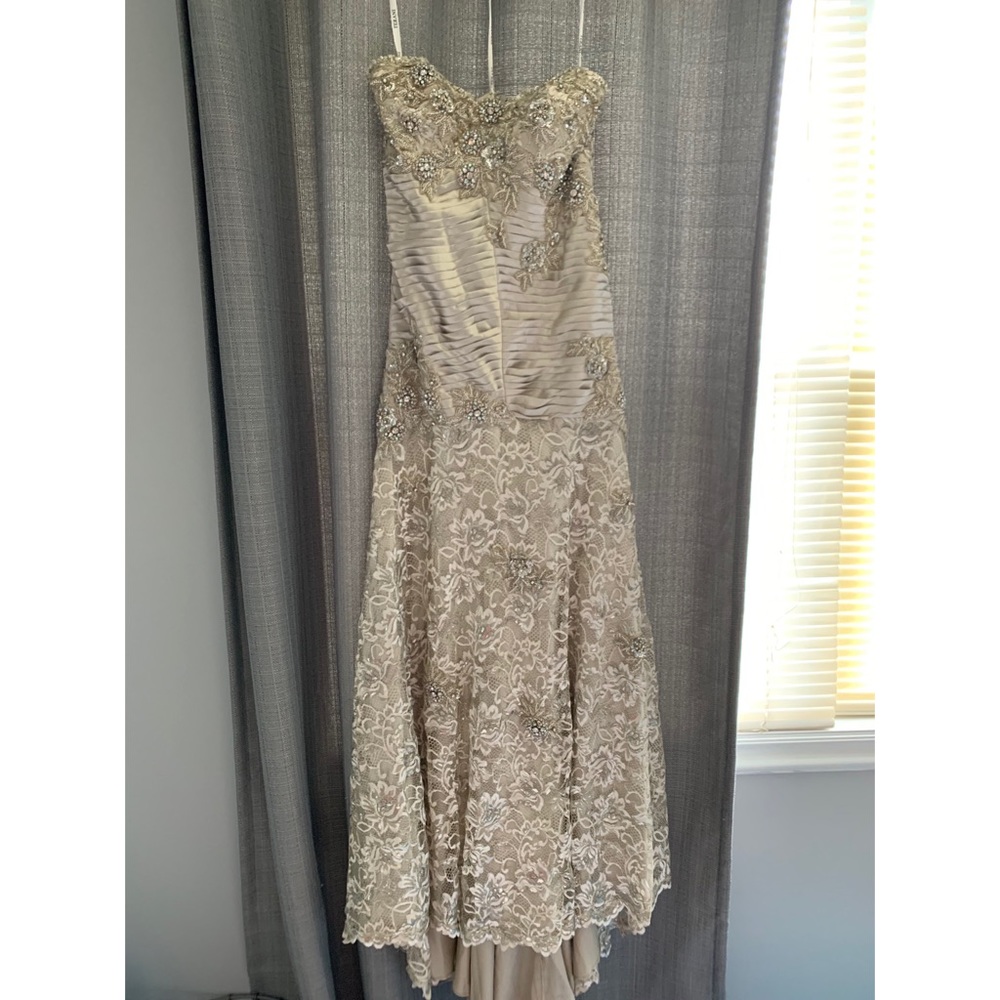Terani Dress